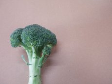 画像1: 沖縄野菜【小ぶり】ブロッコリー５個 (1)