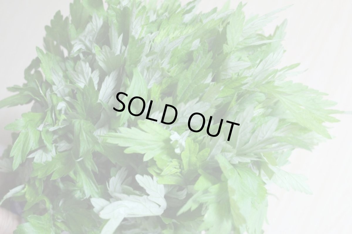 画像2: 沖縄野菜:沖縄産よもぎ 大束約800g  (2)