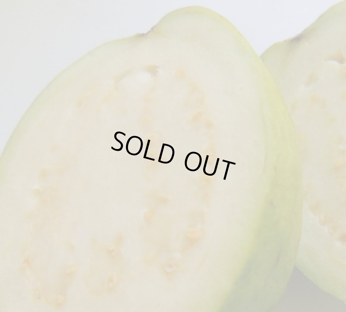 画像2: 【受注再スタート】沖縄県産サラダ用グァバ M 約３kg(16〜22玉)【配達日指定不可 発送期間７月〜９月】【メルマガ会員は10％割引】 (2)