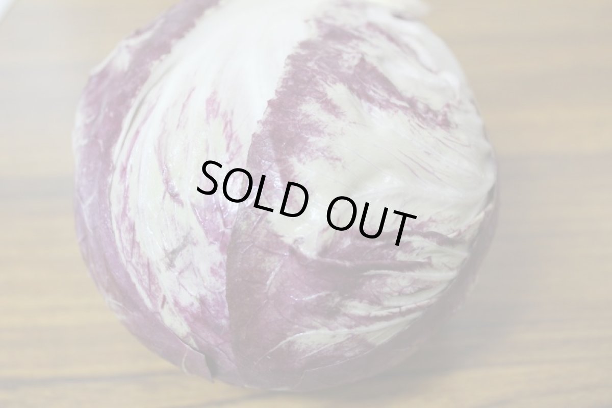 画像2: 沖縄産訳ありトレビス４個【約１kg】 (2)