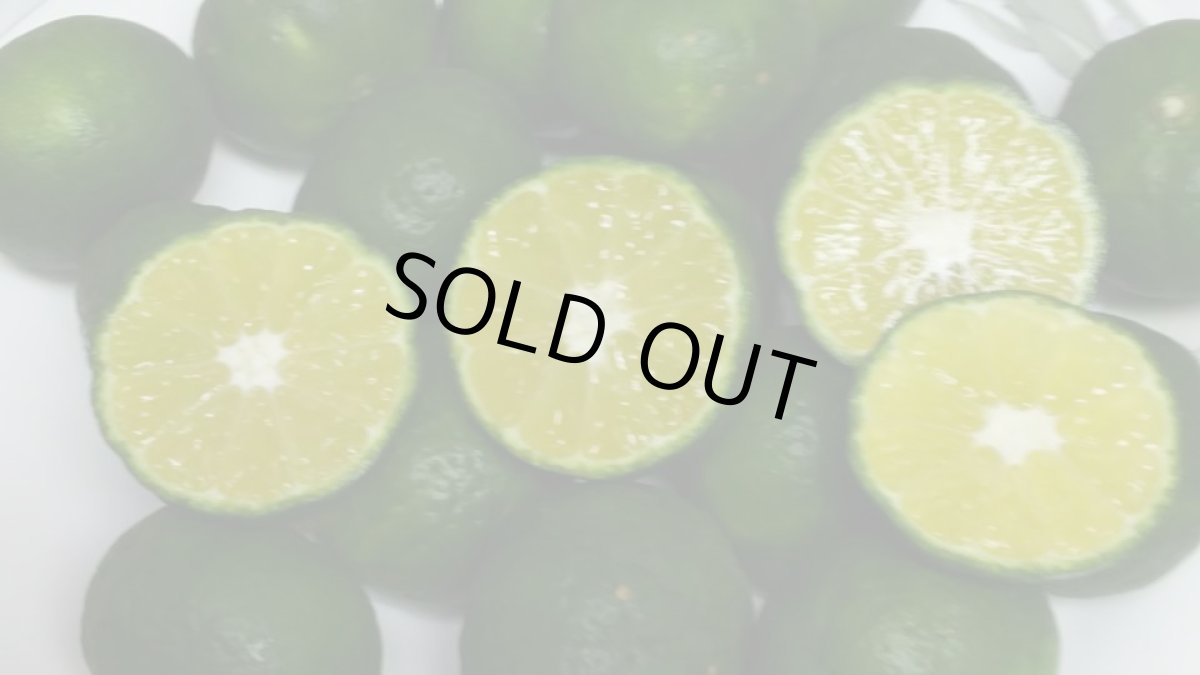 画像2: ☆タイムセール☆≪種無し≫シークワーサー４kg　ノビレチンたっぷり！ (2)