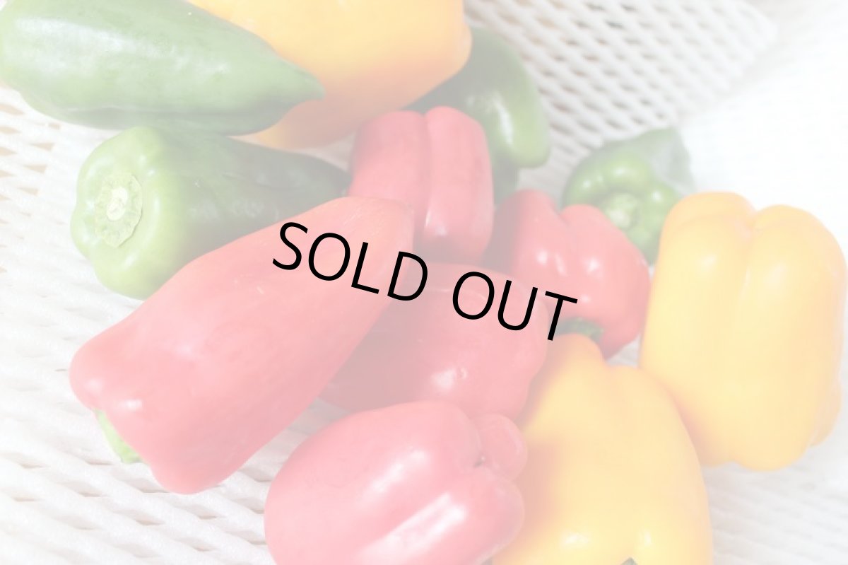 画像2: 少し訳あり3色ピーマン赤・緑・黄・紫・オレンジの中から3〜4種【合計約2kg】 (2)