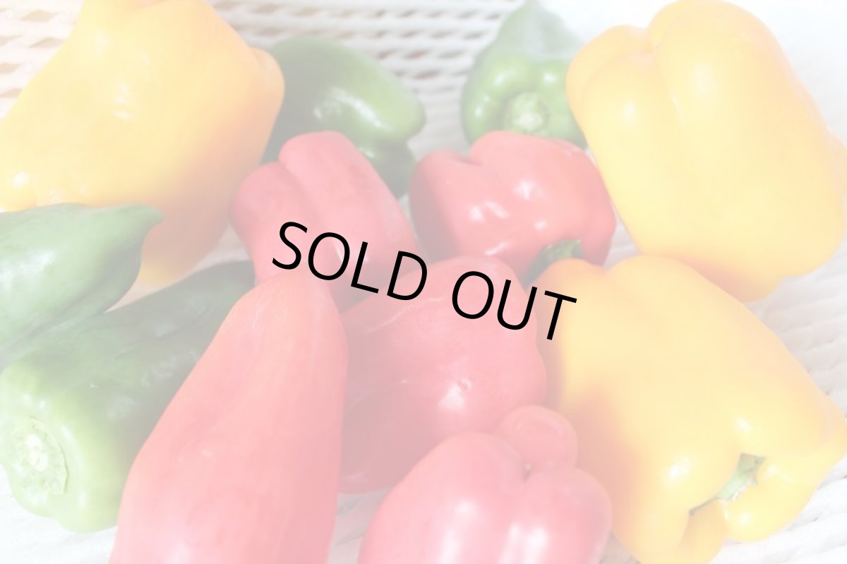 画像3: 少し訳あり3色ピーマン赤・緑・黄・紫・オレンジの中から3〜4種【合計約2kg】 (3)