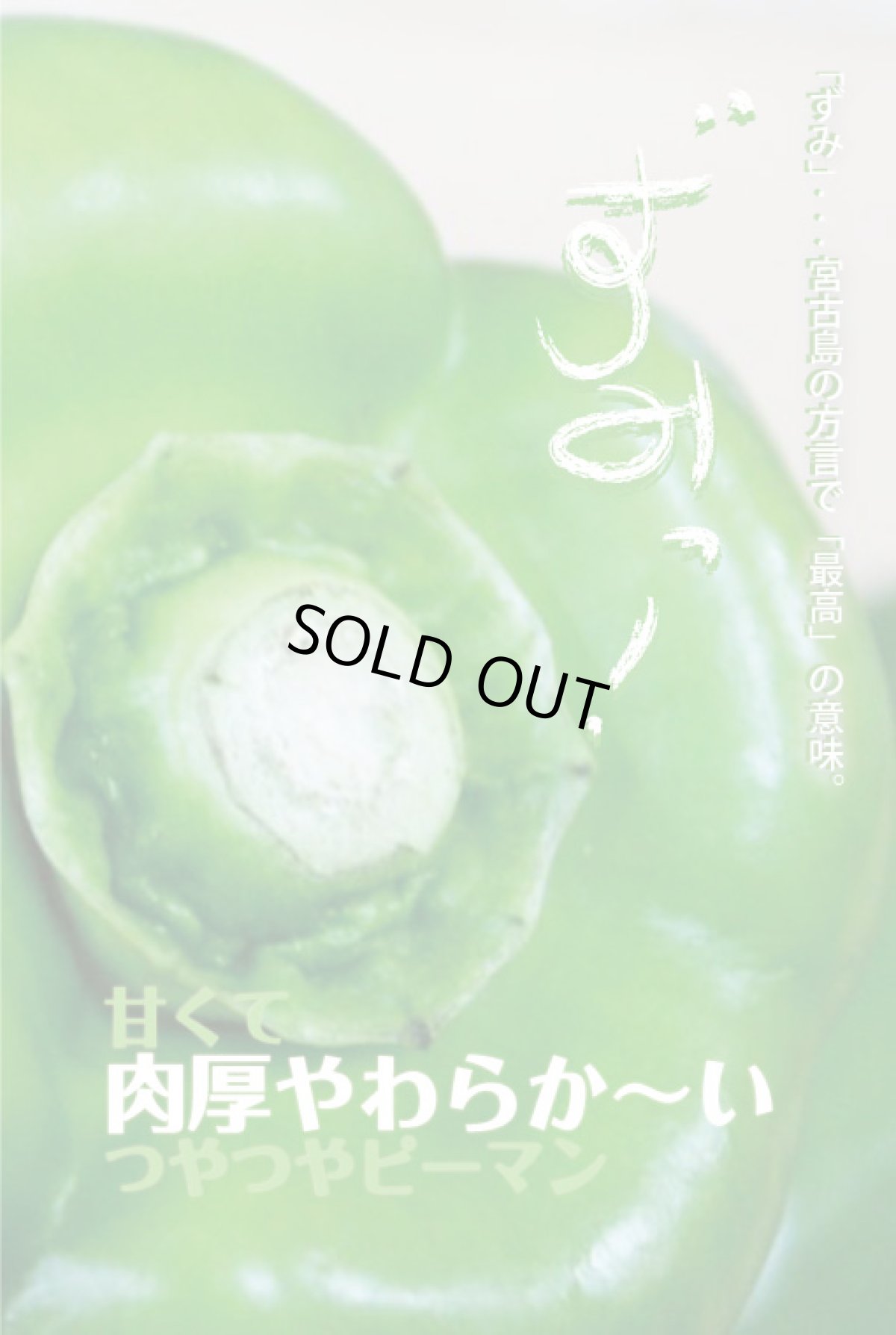 画像2: 沖縄県産 ビックピーマン 約1ｋｇ（6〜１5個） 甘くてモリモリ食べられる【数量限定/今なら10％割引中】 (2)