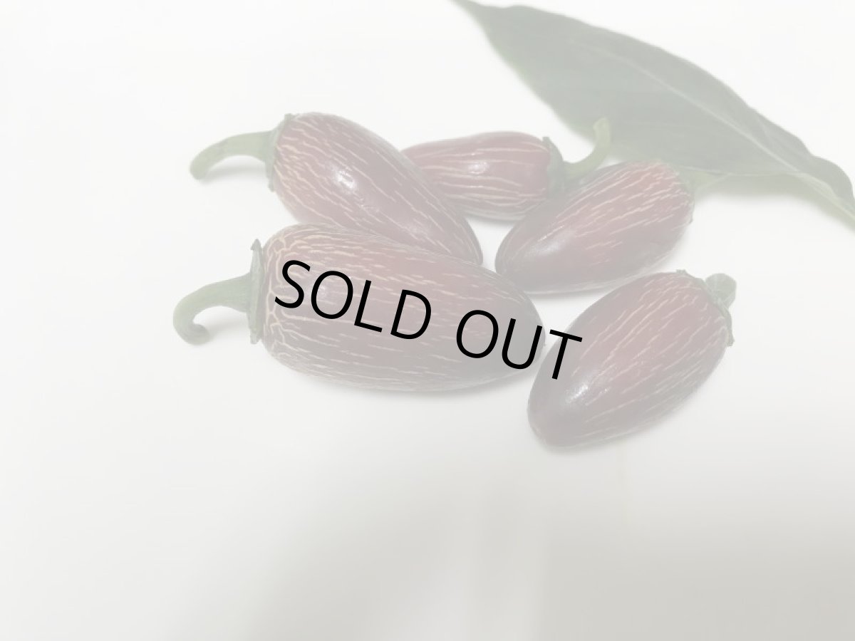 画像5: メルマガ会員は半額　沖縄産　生　グリーン　ハラペーニョ　１ｋg（　ハラピーノ　チポトレ　チポートレ） (5)