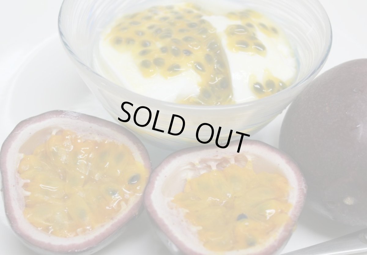 画像2: 沖縄県産 【加工用】パッションフルーツ(バラ) 約1ｋｇ【キズ/サイズバラつき/色むら】【発送予定4月〜６月頃（入荷遅れています）】 (2)