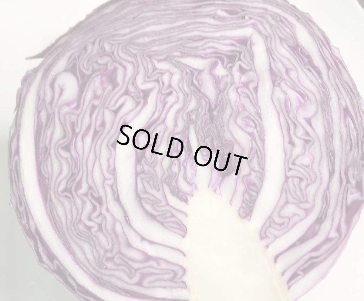 画像3: 超特価！紫キャベツ１個　約１kg　ビタミンＣ、Ｋが豊富・抗酸化作用が強いアントシアニンも含む (3)