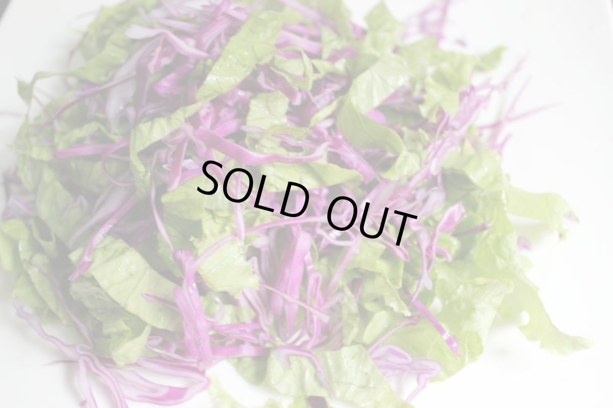 画像5: 超特価！紫キャベツ１個　約１kg　ビタミンＣ、Ｋが豊富・抗酸化作用が強いアントシアニンも含む (5)