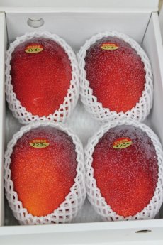 画像1: ★宮古島産アップルマンゴー秀品２kg (4〜5玉)・お中元、ギフトに最適 (1)