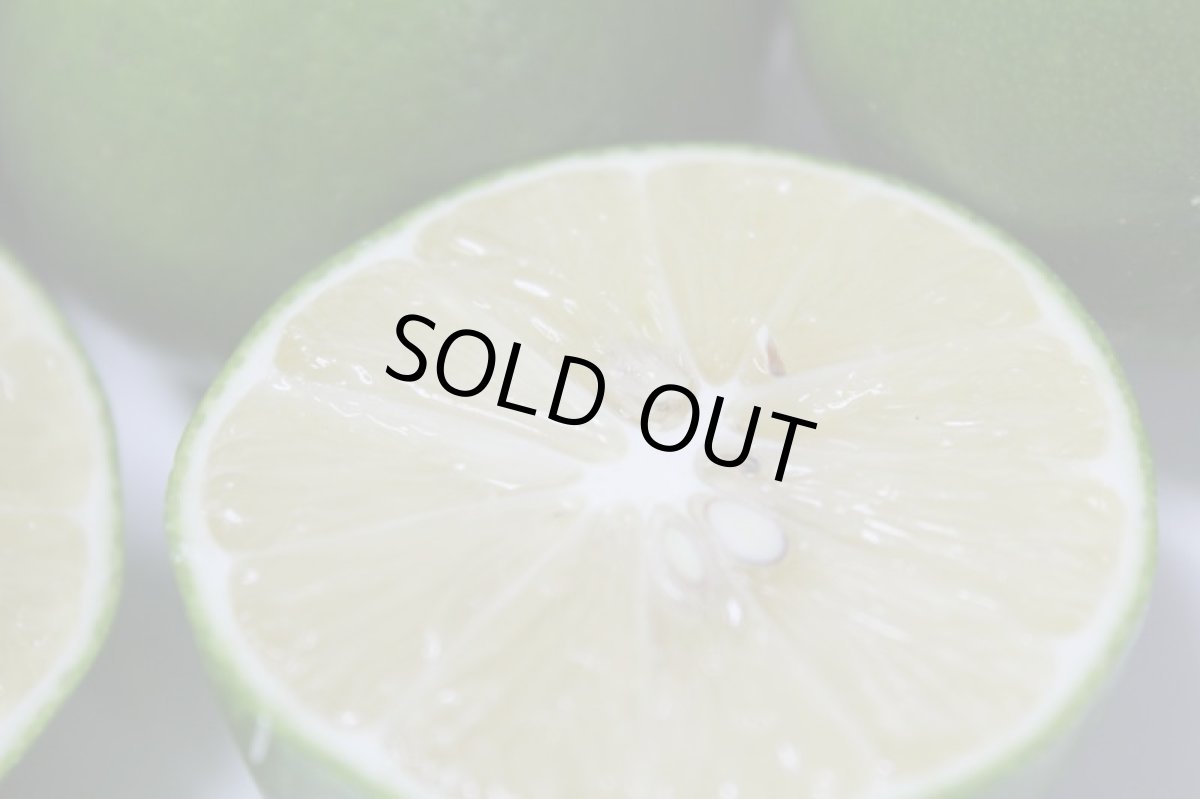 画像5: 沖縄の海風をたっぷり受けて育った　グリーンレモン　２kg（１２〜２８個）　【ワックス　防腐剤　不使用】発送は10月頃 (5)