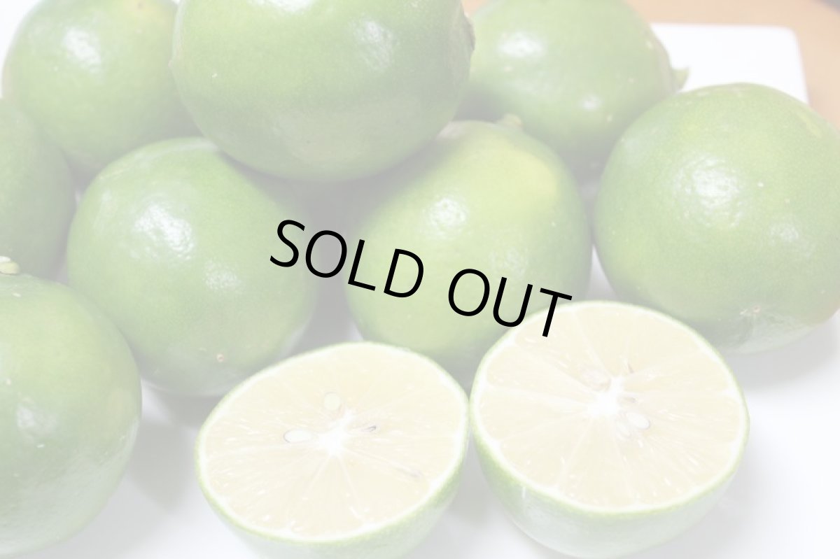 画像4: 沖縄の海風をたっぷり受けて育った　グリーンレモン　２kg（１２〜２８個）　【ワックス　防腐剤　不使用】発送は10月頃 (4)