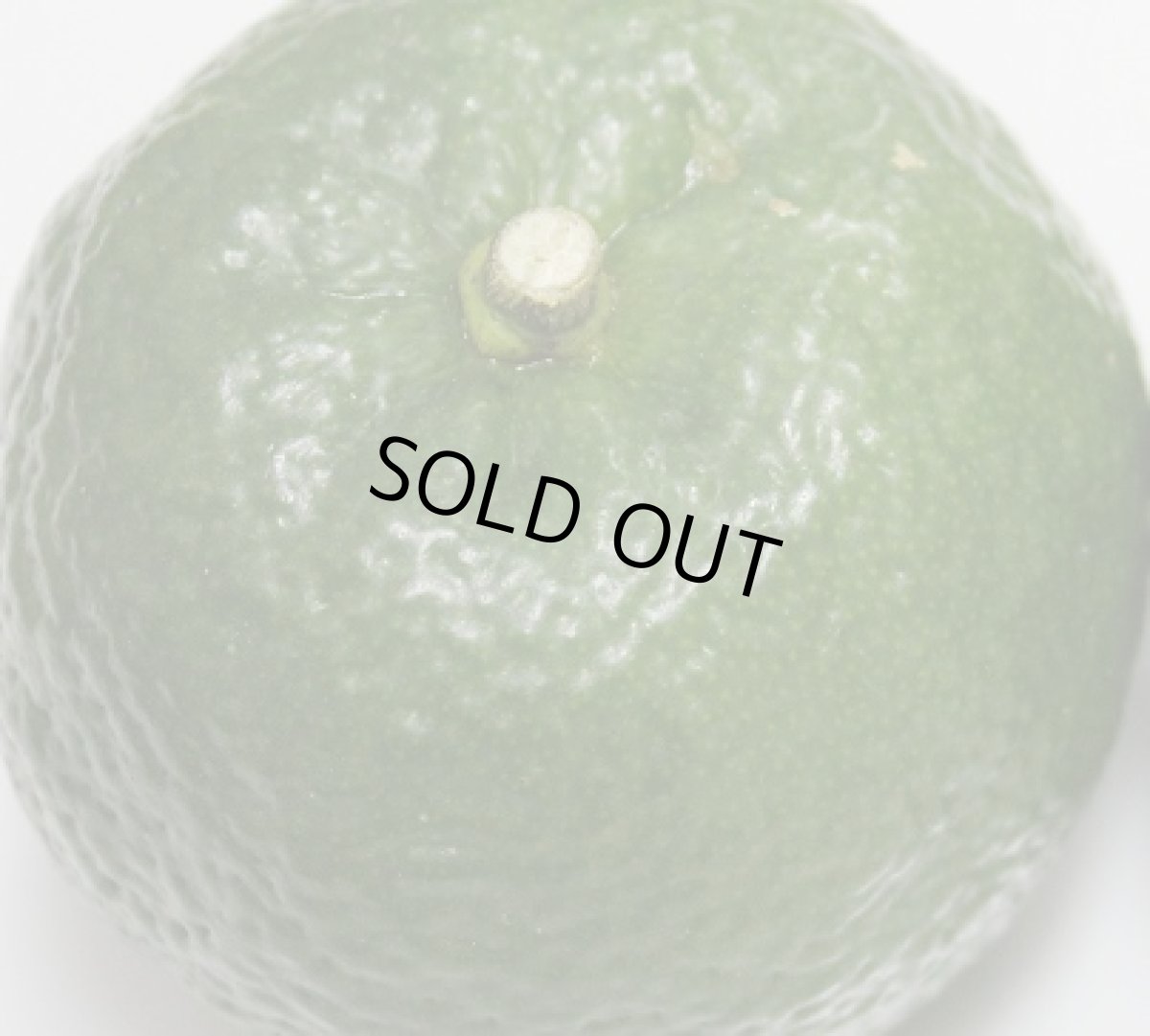 画像2: 沖縄県産 カーブチー 約5kg 昔ながらの沖縄みかん　香りでリラックスできる【発送9月〜11月】 (2)