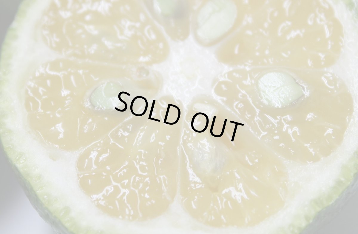 画像3: 沖縄県産 カーブチー 約5kg 昔ながらの沖縄みかん　香りでリラックスできる【発送9月〜11月】 (3)