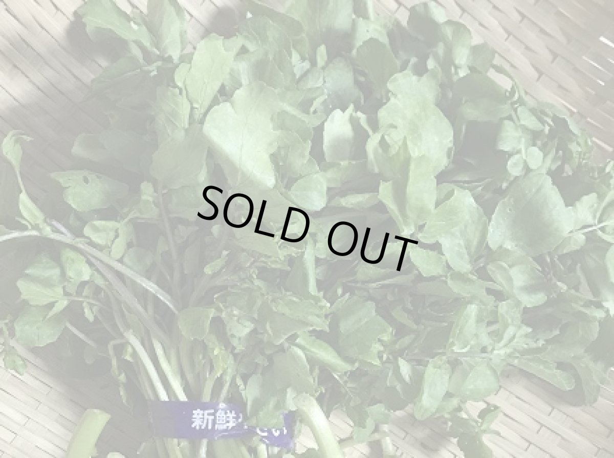 画像2: 【半額】沖縄のスーパー野菜　クレソン　たっぷり　５００g (2)