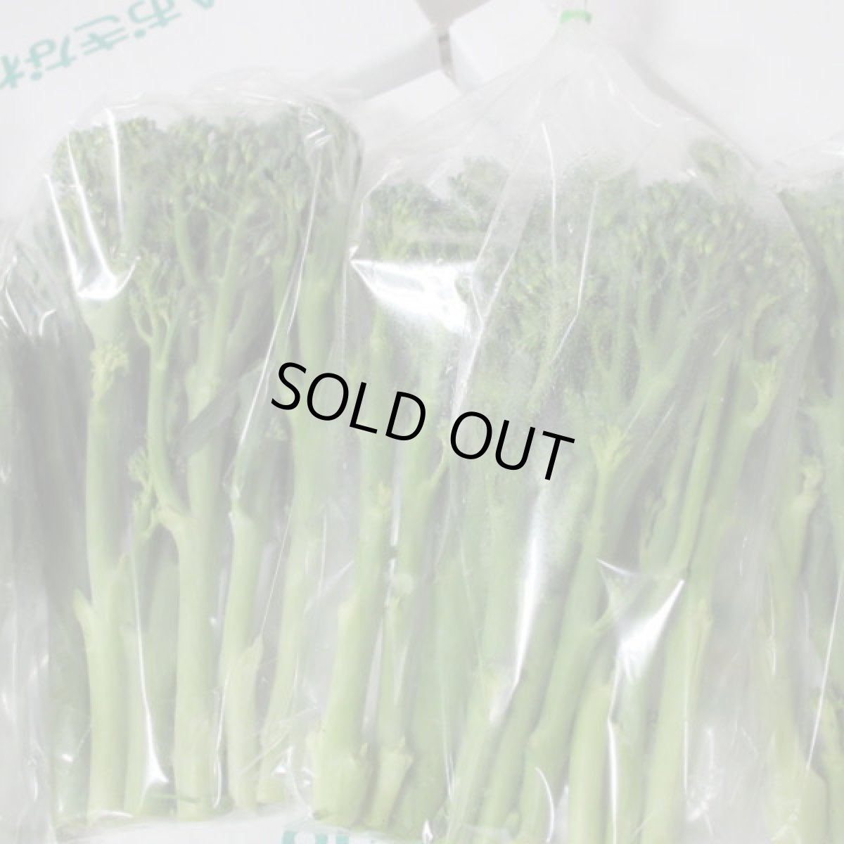 画像2: 沖縄産スティックセニョール５パック（約１４０g×５パック）約７００ｇ入り (2)