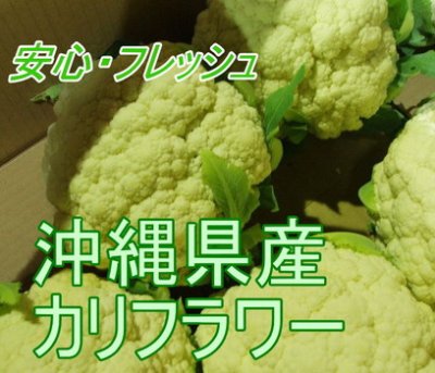 画像1: 沖縄野菜　カリフラワー　１個　約７００〜１０００g