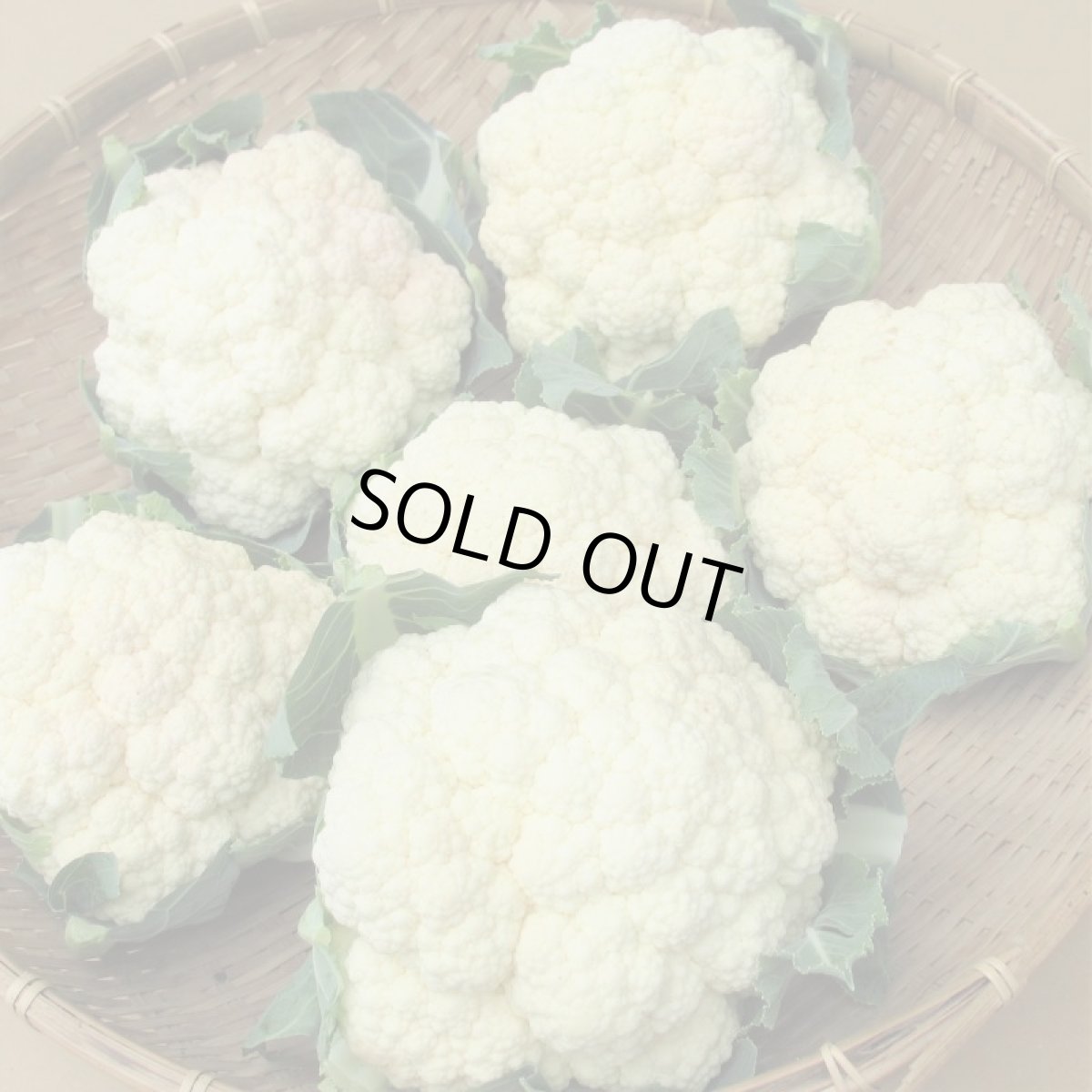 画像6: 沖縄野菜　カリフラワー　１個　約７００〜１０００g (6)