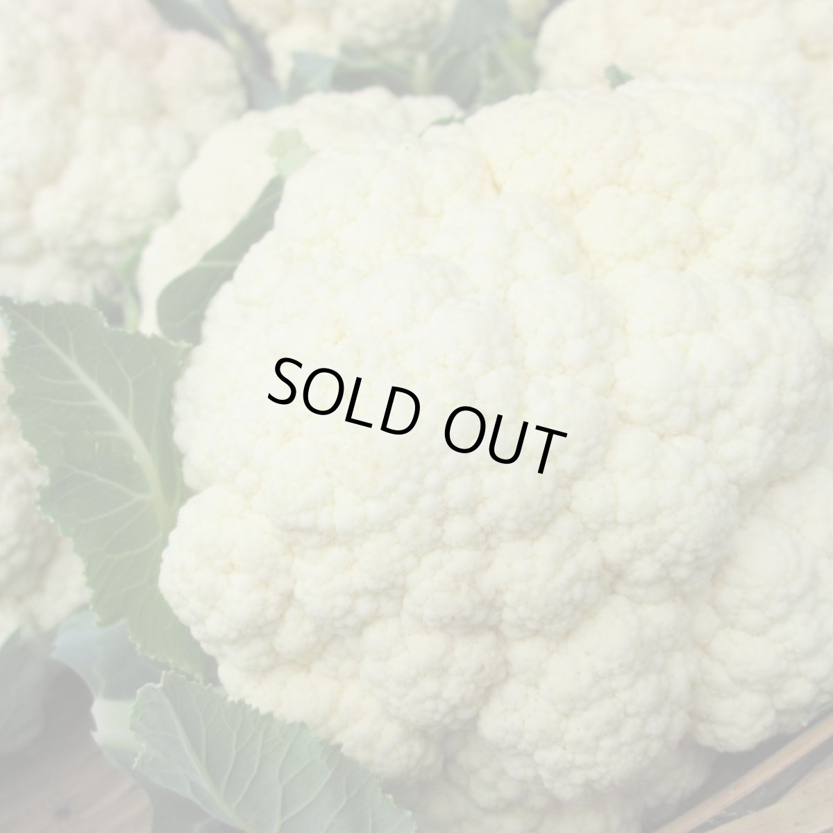 画像6: 沖縄野菜　訳ありカリフラワー　３個 (6)