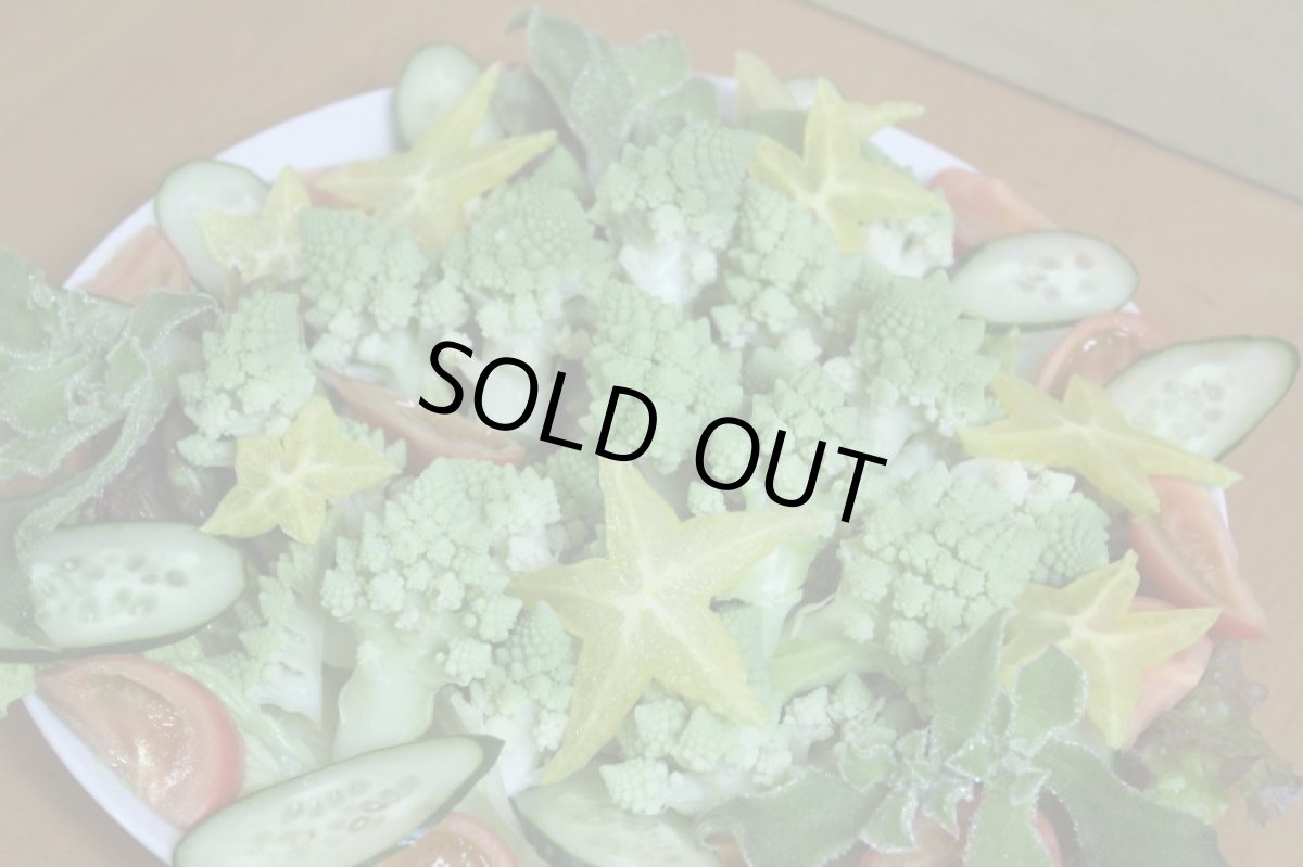 画像6: ロマネスコ 大玉２個（約１kg）　緑のカリフラワー (6)