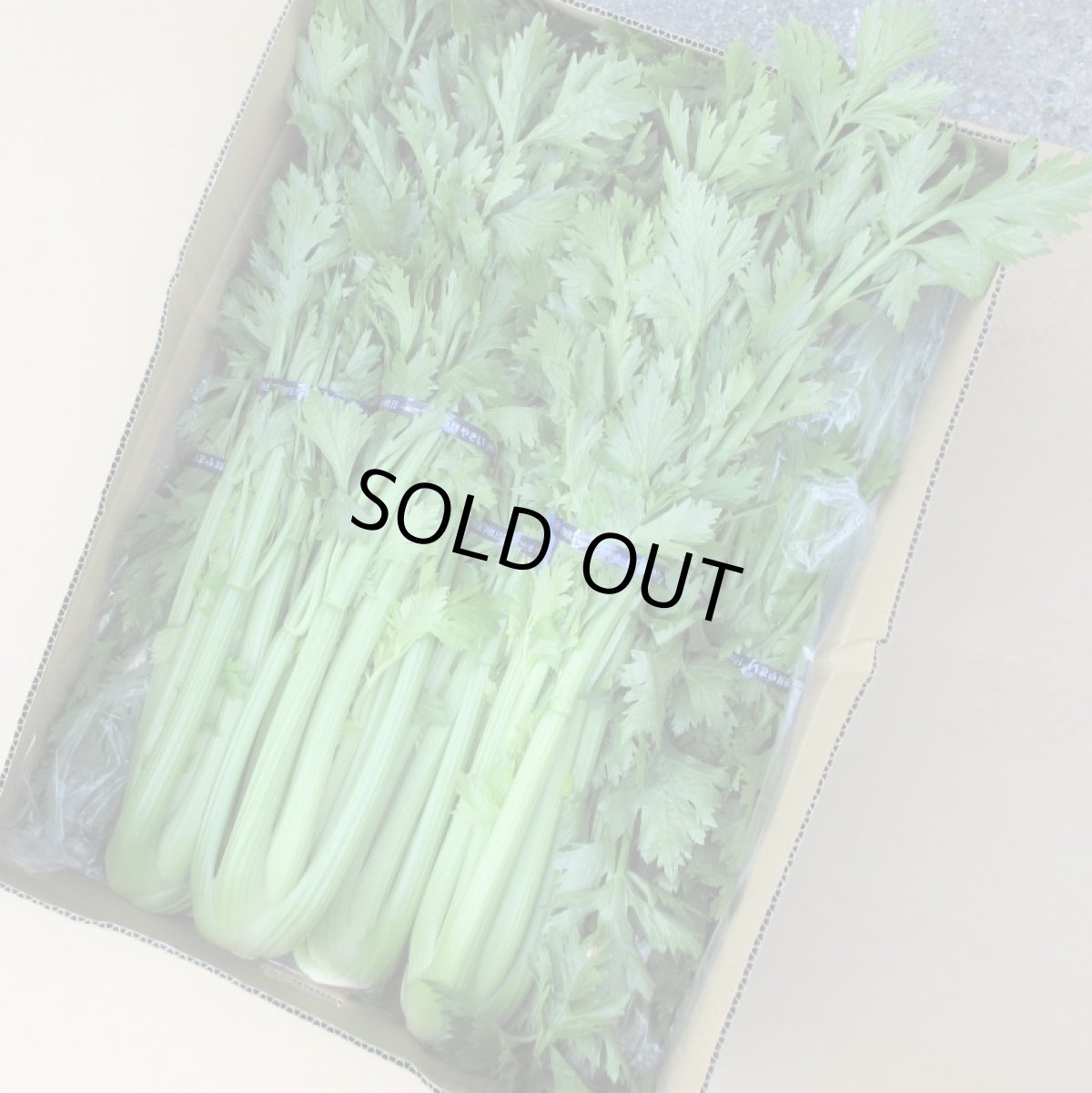 画像4: 沖縄産 セロリ約5kg (4)