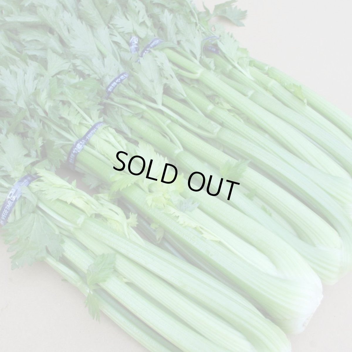 画像2: 沖縄産 セロリ約5kg (2)