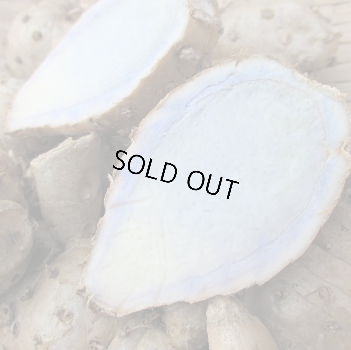 画像3: 【配達日指定不可生うっちん(沖縄産ウコン)1ｋｇ (3)