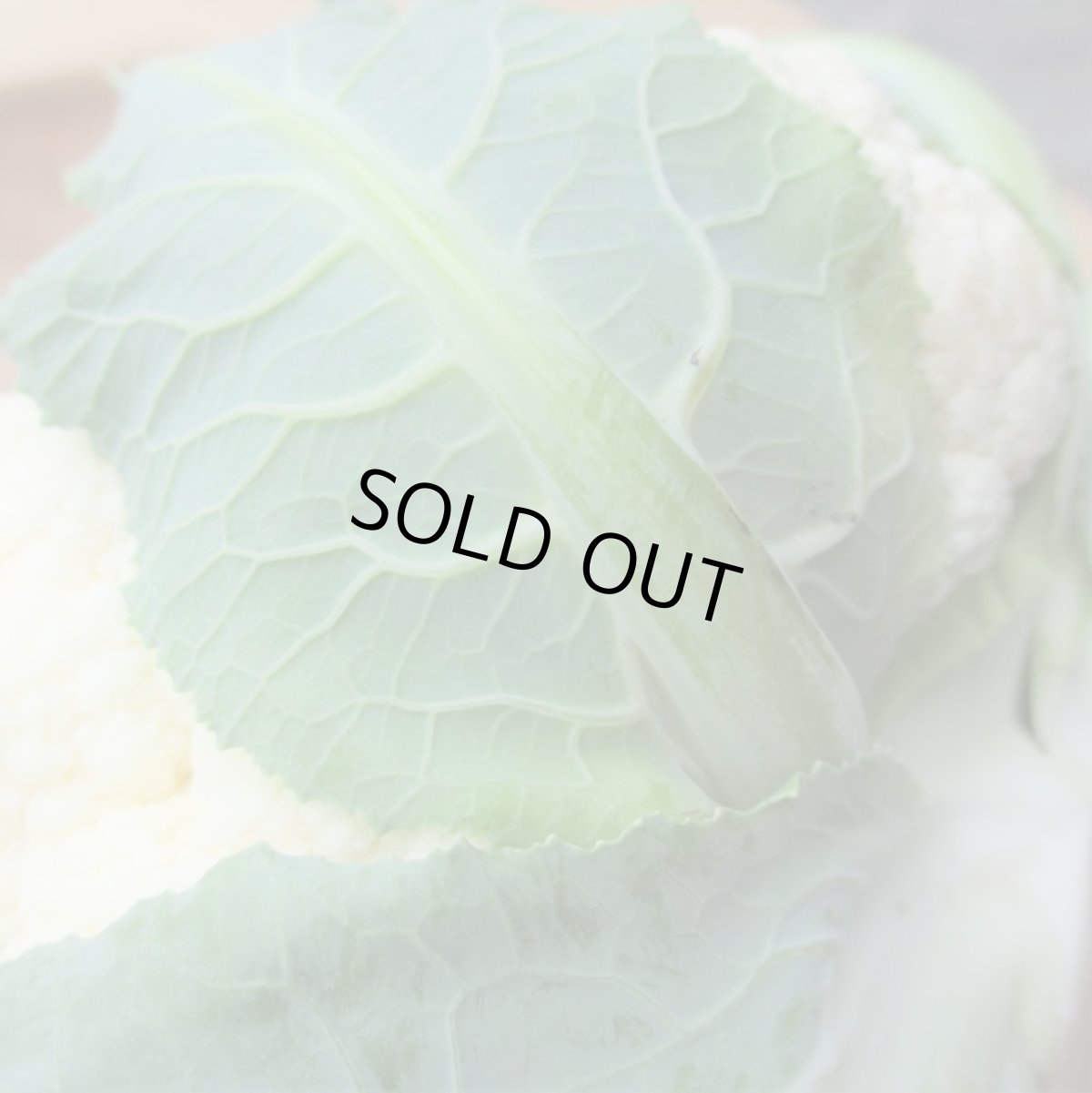 画像3: 沖縄野菜　カリフラワー　１個　約７００〜１０００g (3)