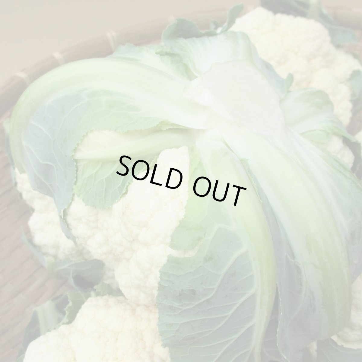 画像5: 沖縄野菜　カリフラワー　１個　約７００〜１０００g (5)