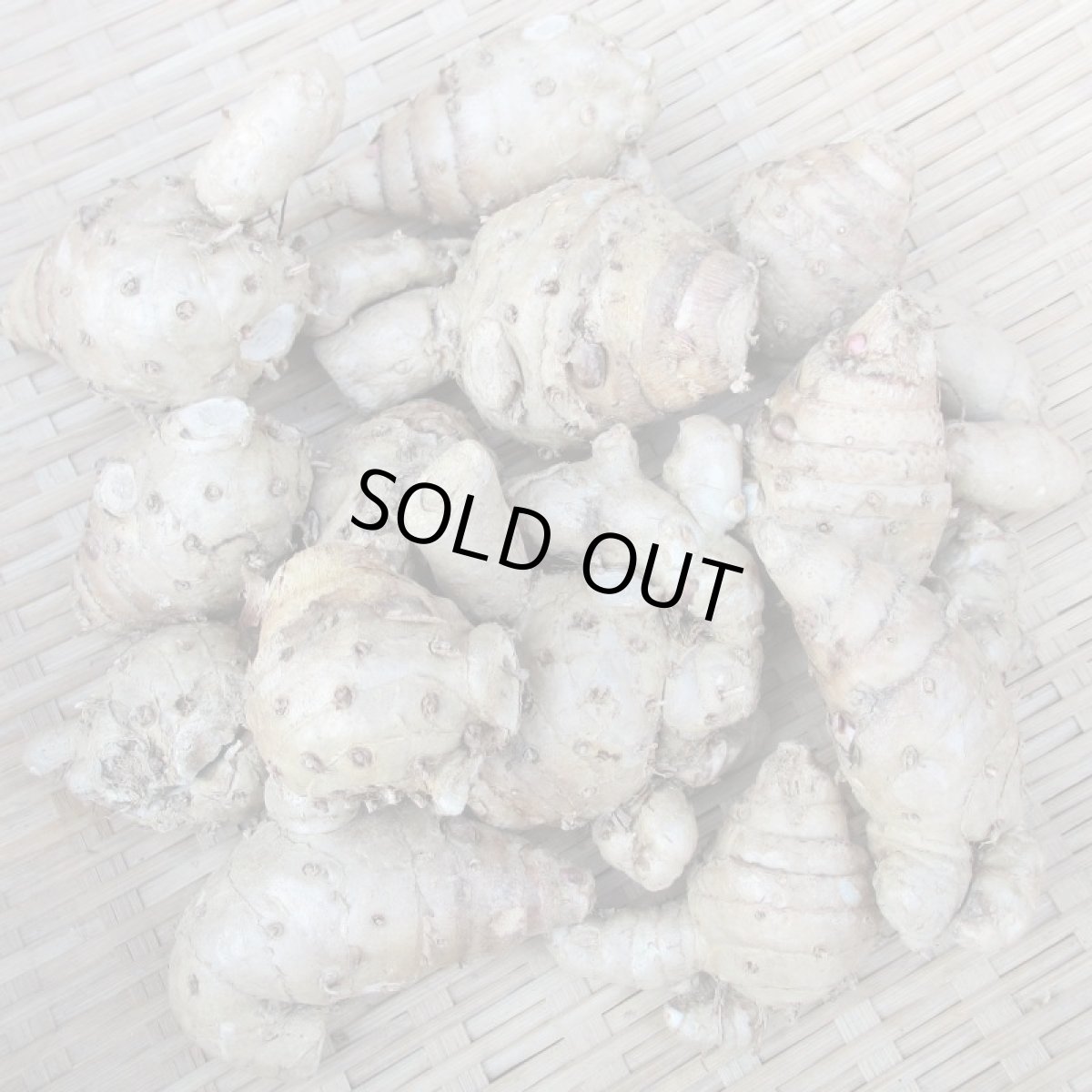 画像2: 【配達日指定不可生うっちん(沖縄産ウコン)1ｋｇ (2)