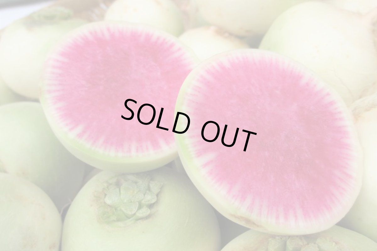 画像3: 沖縄県産 紅芯大根 1kg (3)