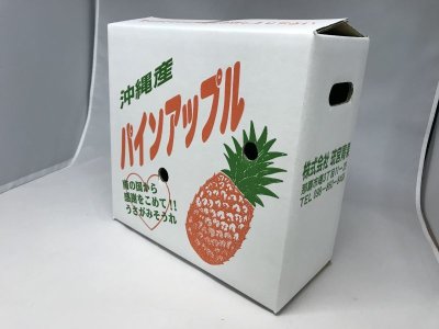 画像2: 大人買い☆　西表島産 パイナップル 　ハワイ種 　小玉10ｋｇ （１０〜２０玉）