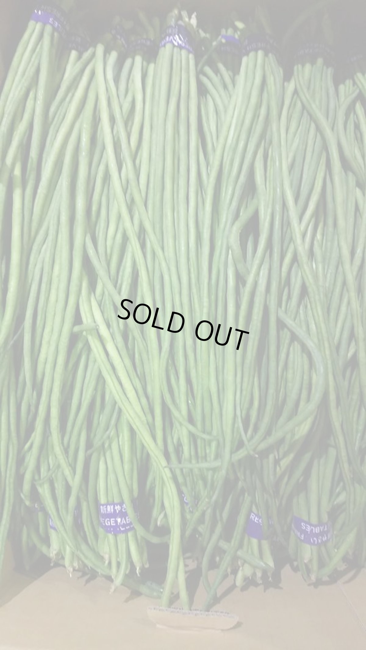 画像3: 長い豆、フーロー豆、三尺豆、★呼び名は色々★約１kgエスニック料理に！【数量限定/今なら２０％割引】 (3)