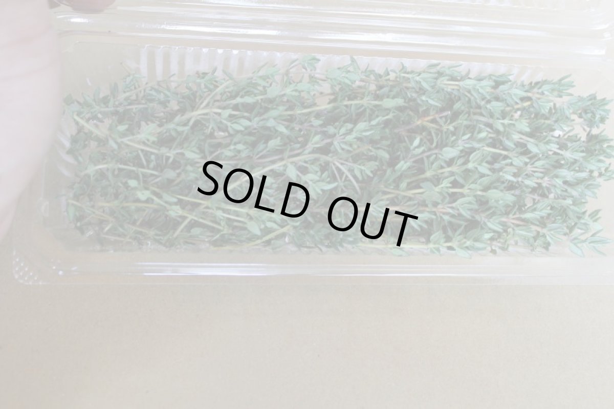 画像2: 沖縄県産ハーブ　タイム　1パック (2)