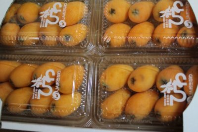 画像1: 【販売開始】初夏の果実 沖縄産 びわ ８パック（約１．６００ｇ）【発送時期2月〜4月】