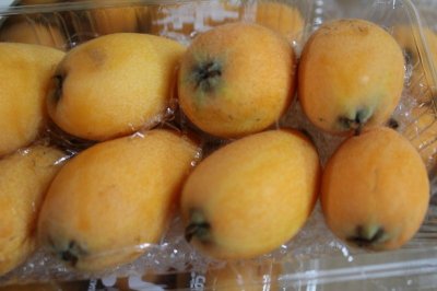 画像3: 【販売開始】初夏の果実 沖縄産 びわ ８パック（約１．６００ｇ）【発送時期2月〜4月】