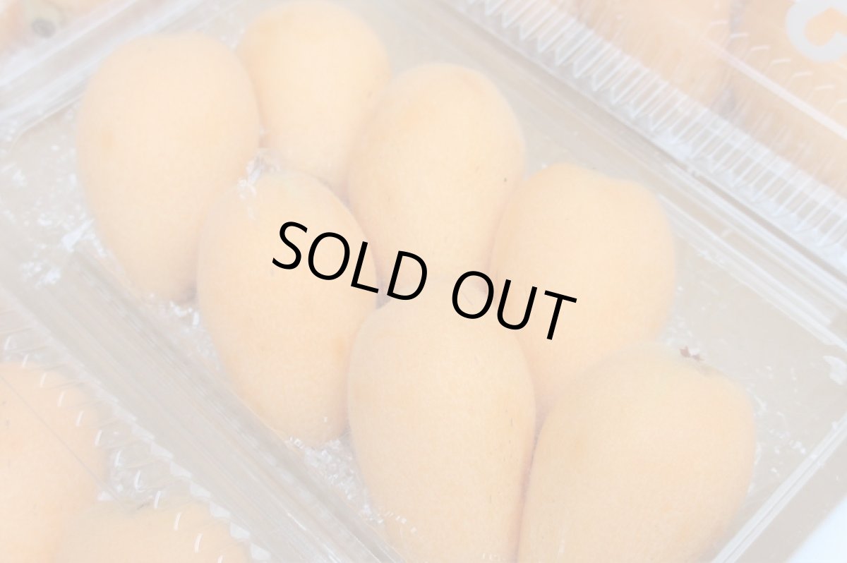 画像3: びわ 4パック（＠200ｇ）合計800ｇ　【発送時期4月頃】 入荷次第発送 (3)