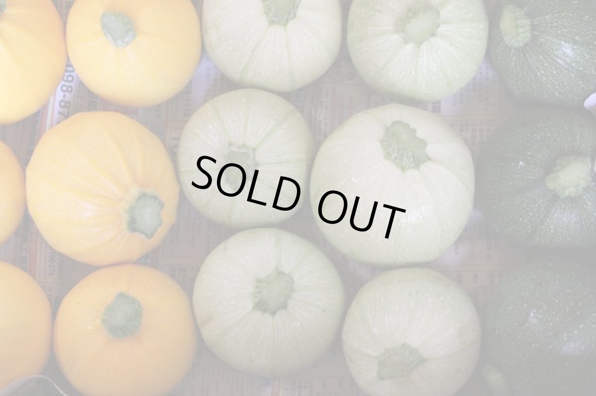 画像3: 沖縄野菜　ちょい訳あり　まあるいズッキーニ　約１Kｇ（２〜４個） (3)