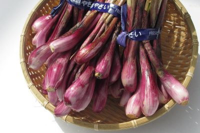 画像2: ≪紫品種≫沖縄県産　島らっきょう　1ｋｇ　大きくて、辛みもあり香りも強いので塩漬けに、天ぷらに最適！１５kg限定
