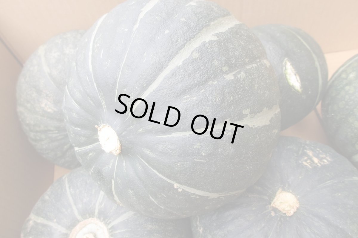 画像4: 宮古島産 栗南瓜 (クリカボチャ)  4~9玉　10キロ前後  かぼちゃ (4)