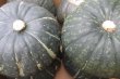 画像3: 栗南瓜 (クリカボチャ)  １玉(900〜1.2kg) 沖縄島野菜 かぼちゃ (3)