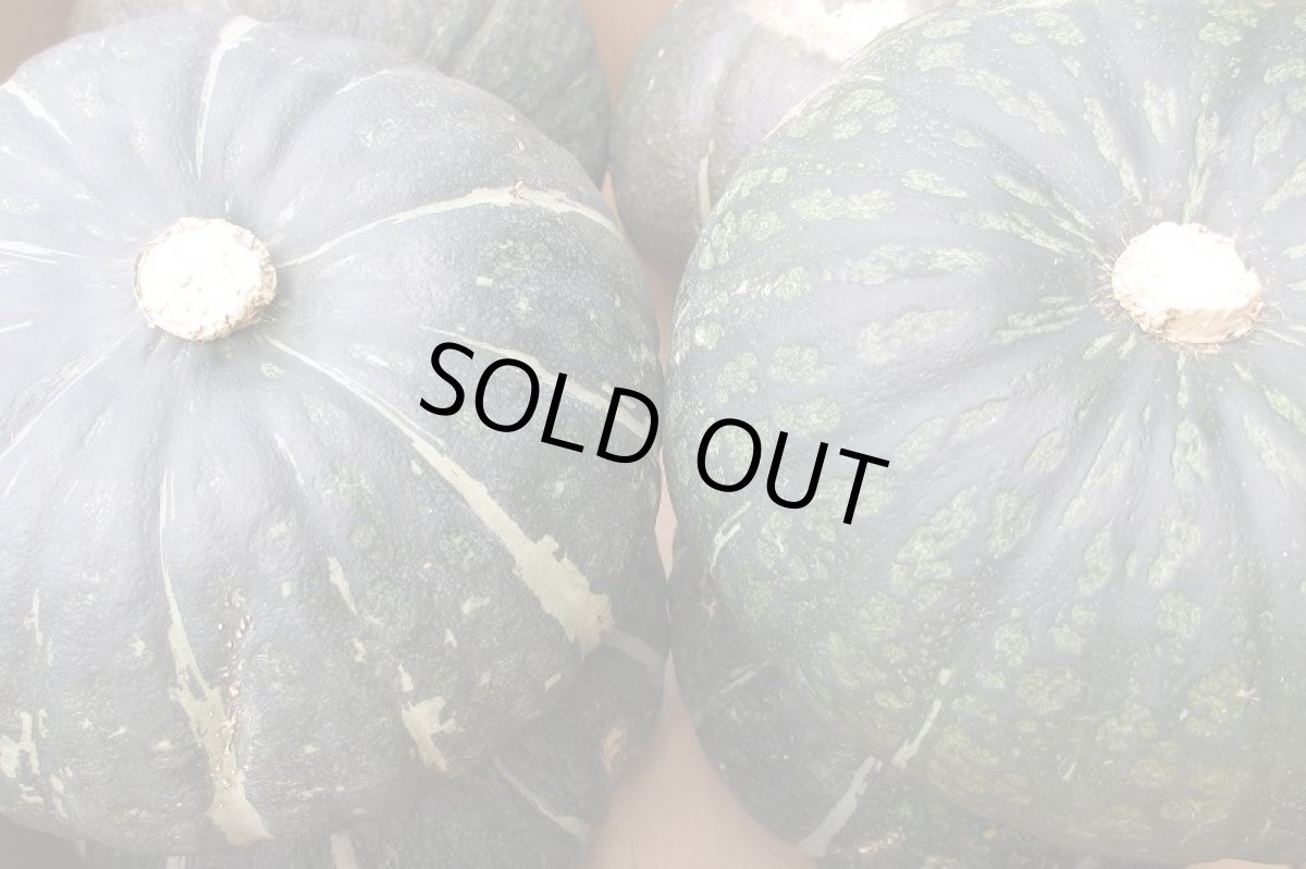 画像5: 宮古島産 栗南瓜 (クリカボチャ)  4~9玉　10キロ前後  かぼちゃ (5)