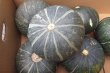 画像1: 栗南瓜 (クリカボチャ)  １玉(900〜1.2kg) 沖縄島野菜 かぼちゃ (1)