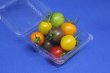 画像2: 沖縄産 カラフル ミニトマト １５０g 　５色(赤・紫・黄色・緑・オレンジ) (2)