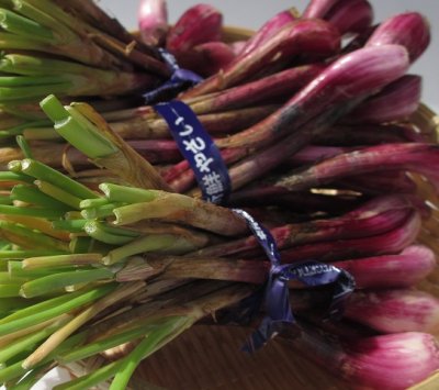 画像2: 極小玉 ≪紫品種≫ 沖縄県産　島らっきょう　1ｋｇ　辛みもあり香りも強いので塩漬けに、天ぷらに最適！