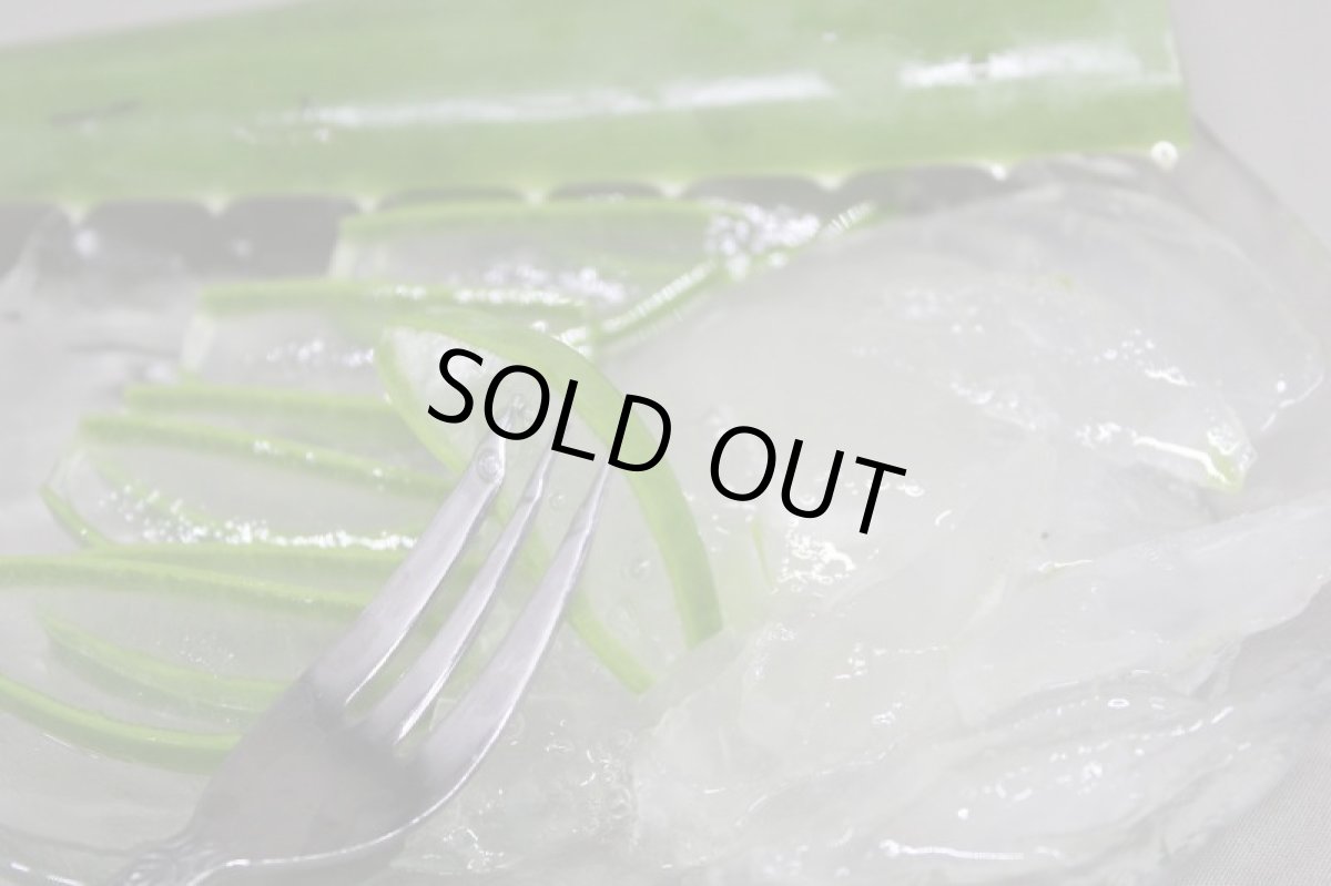 画像2: アロエベラ　生葉　６枚前後　【食用アロエ】沖縄県産 (2)