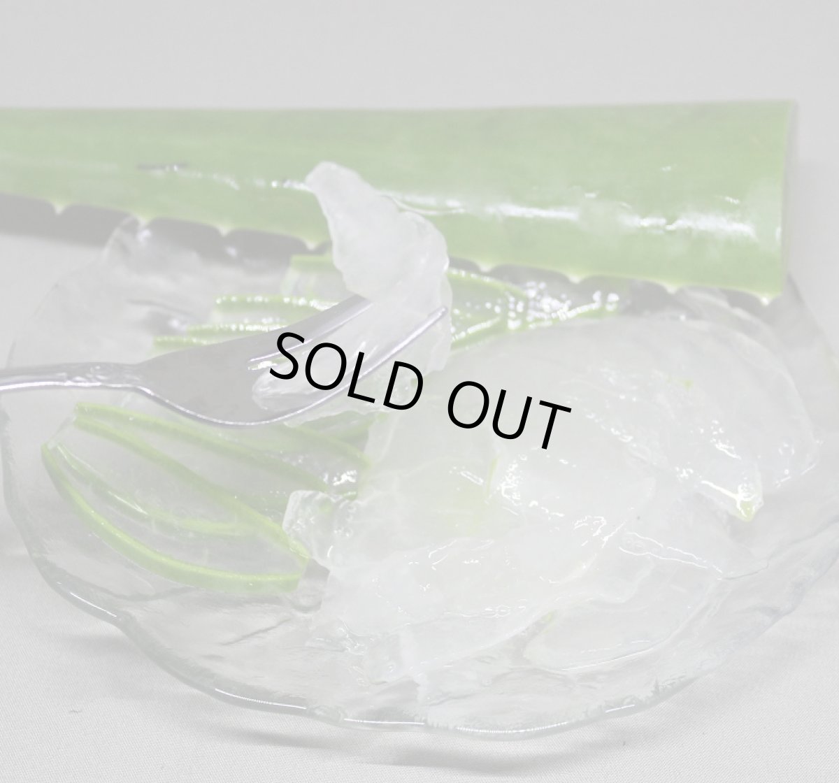 画像3: アロエベラ　生葉　６枚前後　【食用アロエ】沖縄県産 (3)