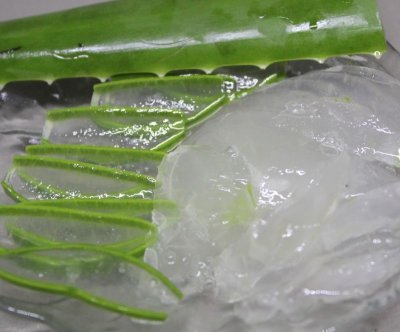 画像1: 【食用アロエ】沖縄県産アロエベラ生葉　約２Ｋｇ　2〜６枚前後