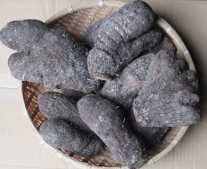画像1: 沖縄産の山芋、自然薯　約２kg　 (1)