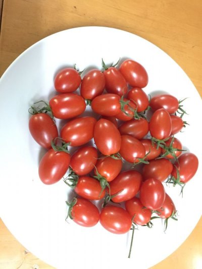 画像1: 【沖縄のプチトマト今が旬】沖縄産ミニトマト１５０g×５パック