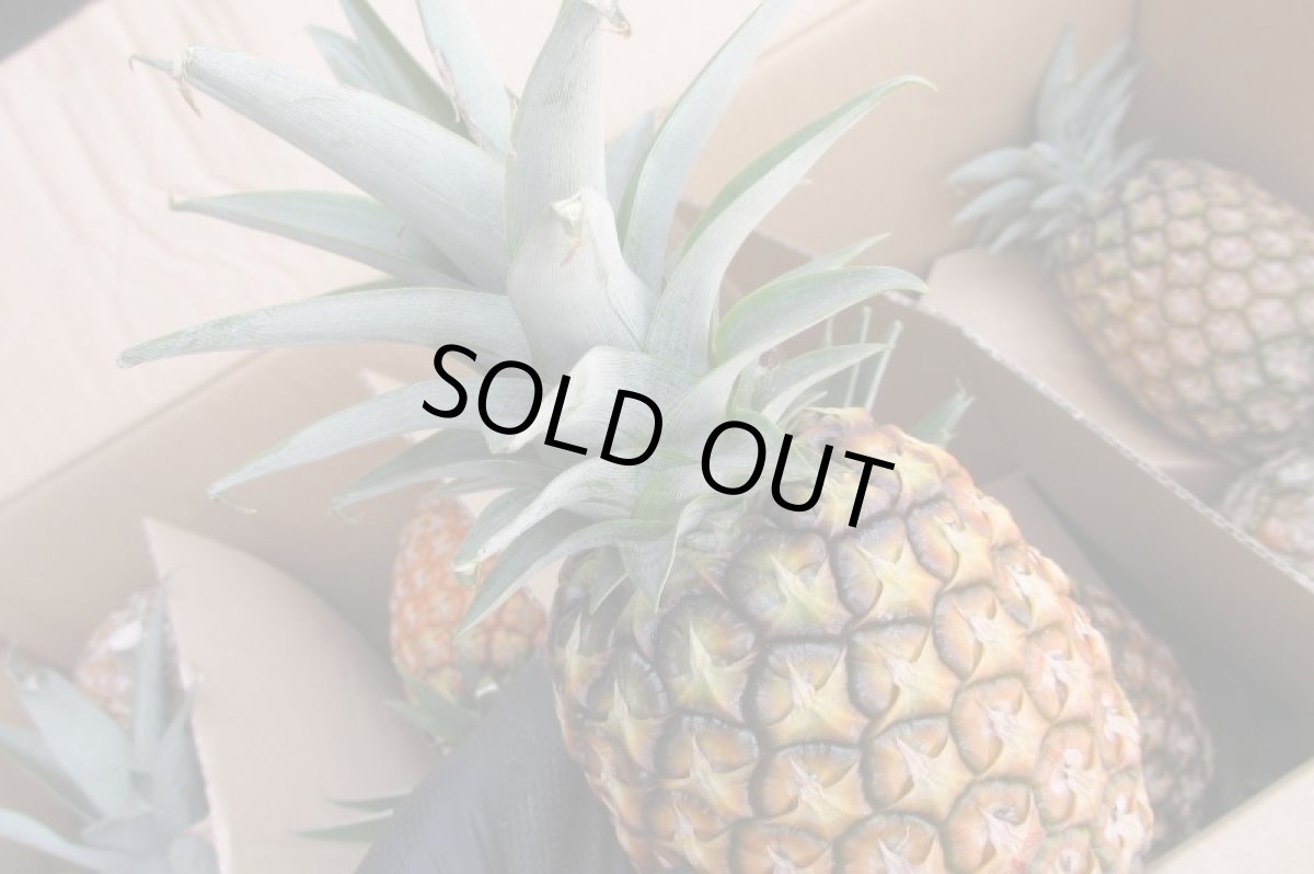 画像4: 沖縄県産　格外　訳ありゴールドバレル 　5ｋｇ (4)